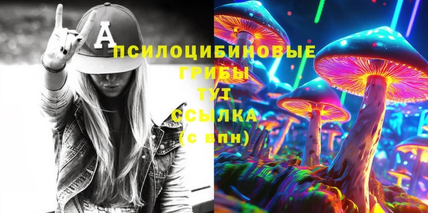 соль курить ск Козловка
